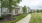 Sidewalk with buildings to the left